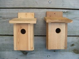Bird house project prototypes