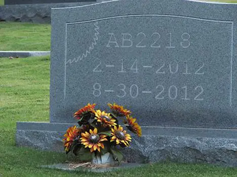 RIP AB2218