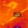 Hot Hands - Seek Thermal Camera